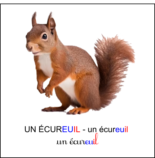 Graphie euil
